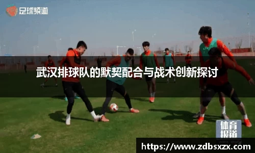 中欧体育