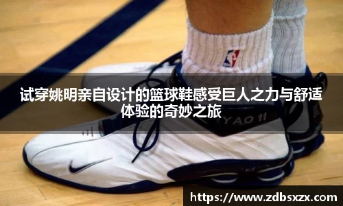 中欧体育