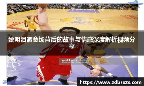 中欧体育