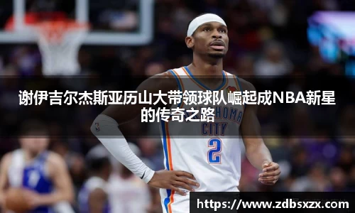 中欧体育官网